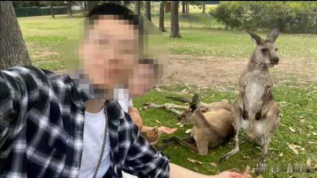 “悲剧还是发生了！”澳大利亚，一38岁男子和31岁妻子是一对中国夫妻，俩人刚过完