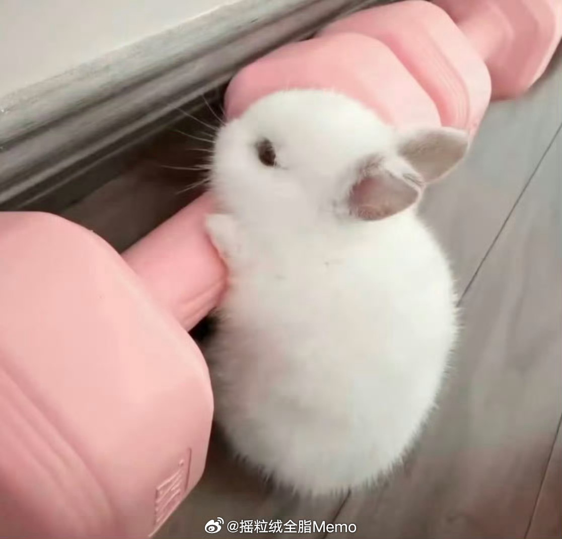今天举铁明天就会有大膀子吗 