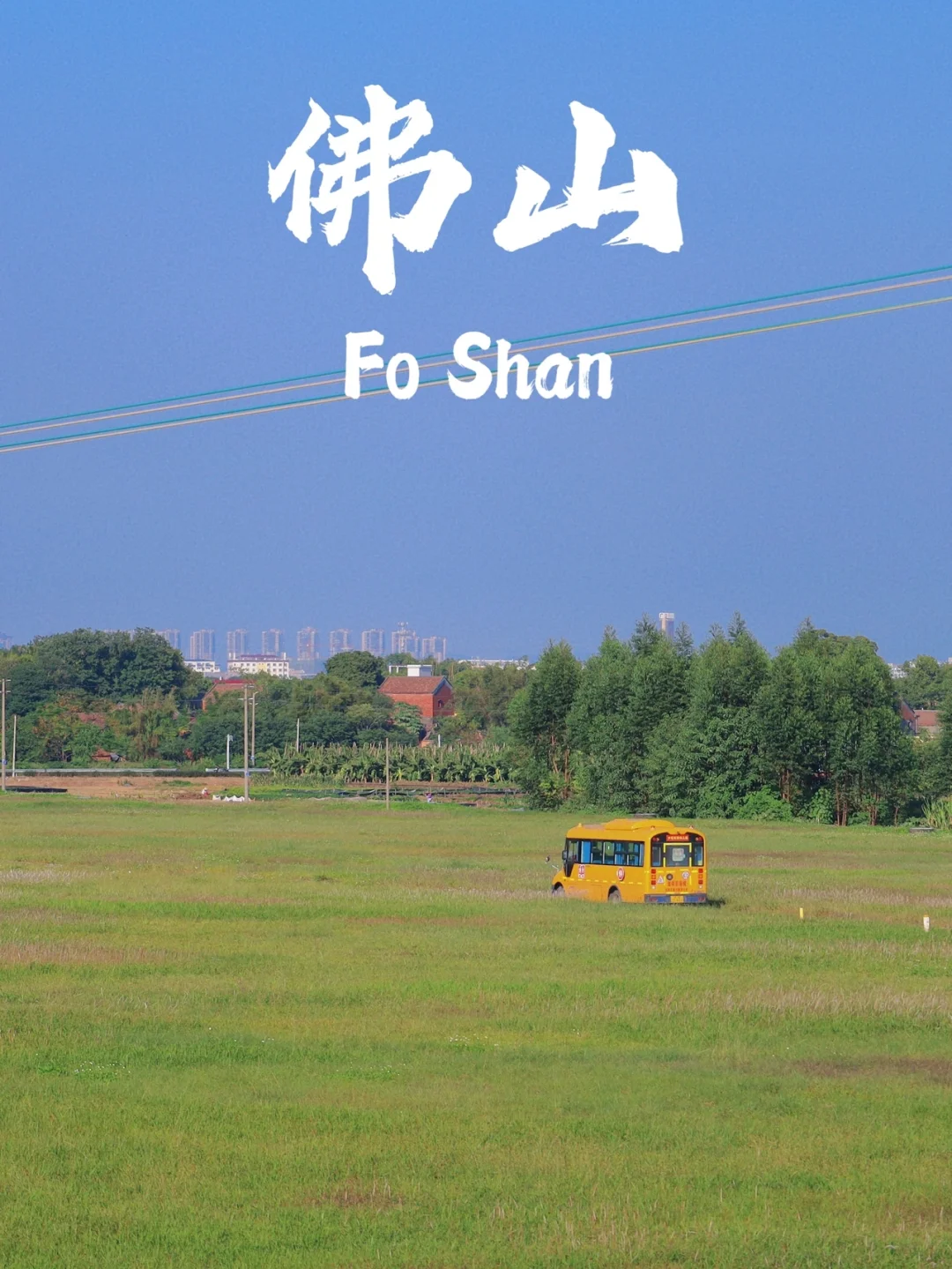 广州周边｜佛山秋日拍照/郊游/露营宝藏地📷