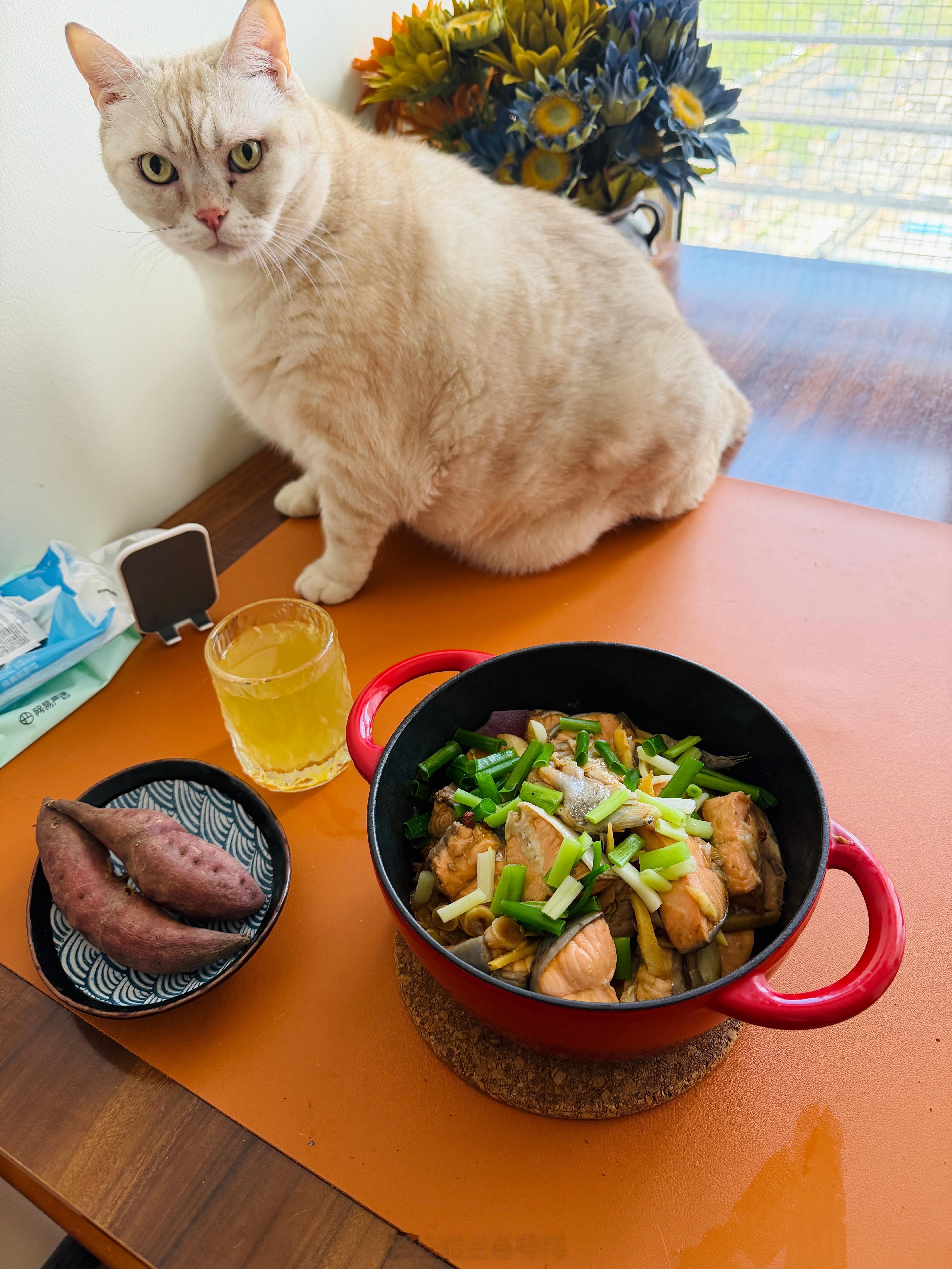 北京碎片 我发现焗三文鱼比煎好吃，更适合中国宝宝口味
