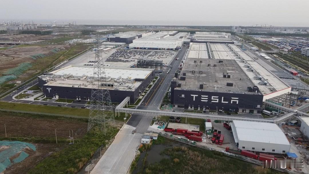 这场缓和本质是“战术休战”而非战略和解。
2026年美国中期选举将成为关键变量，