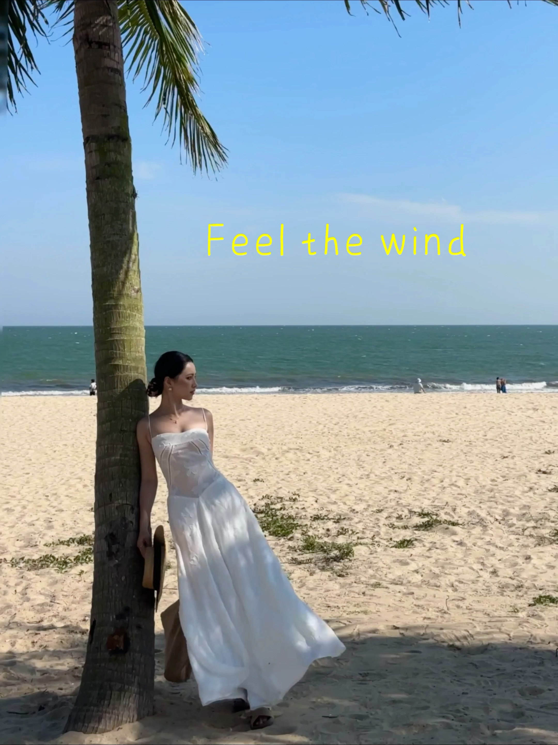 🌴 ​​​
