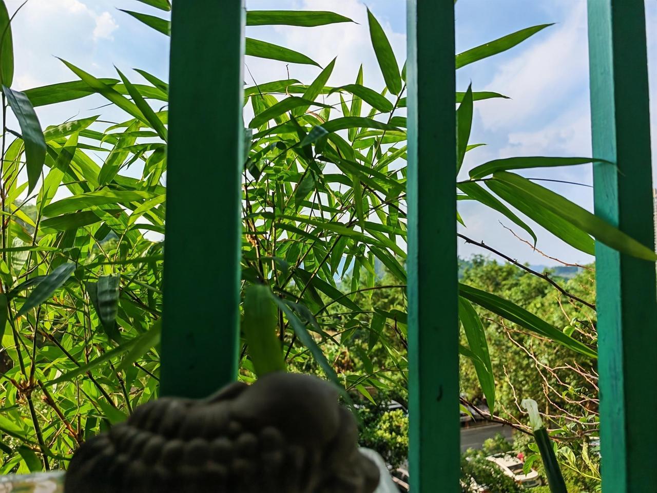 气场稳了，福气自来，养心能带来好运气。