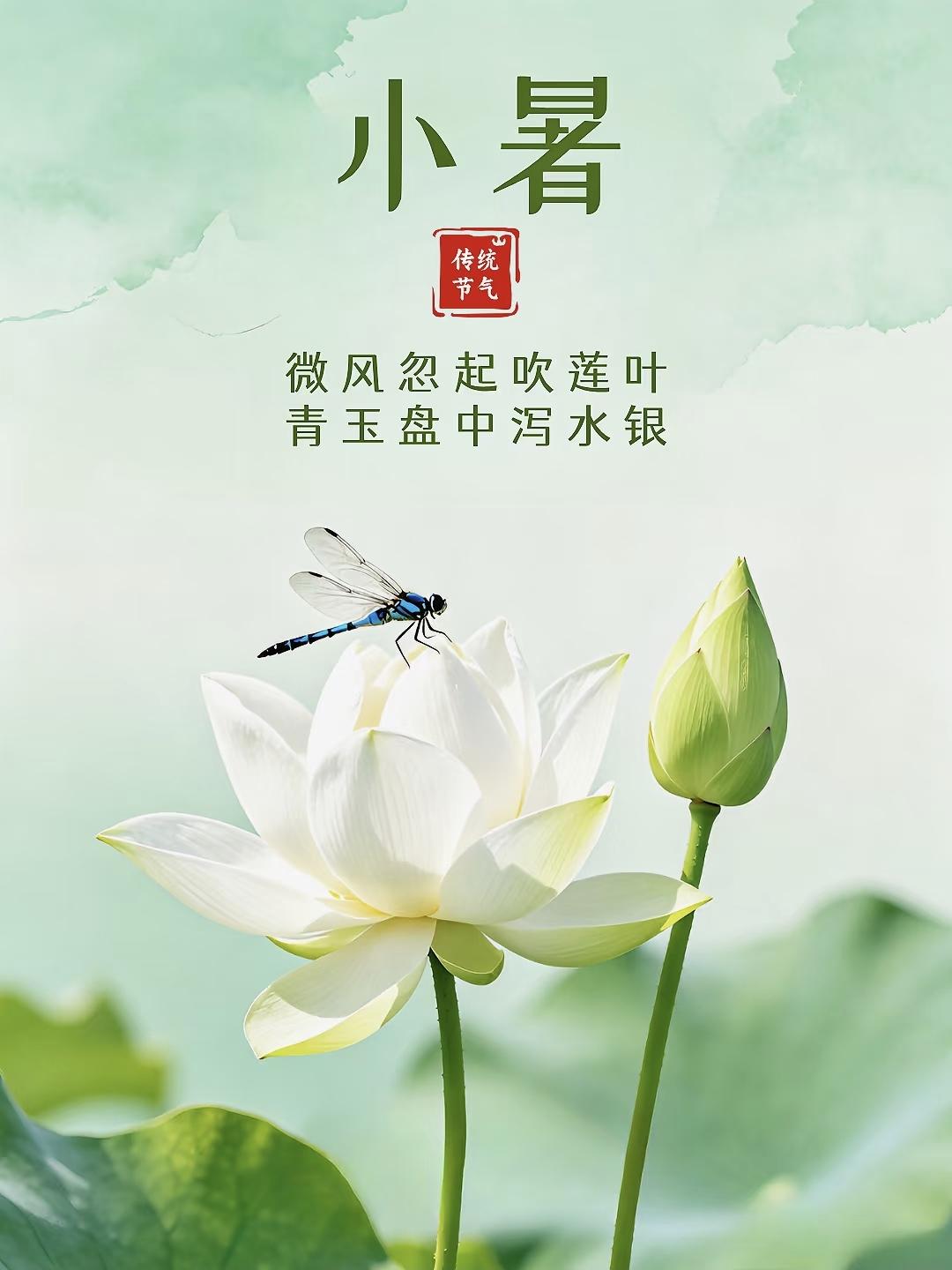 小暑是夏天独有的浪漫光景，阳光温柔洒落，草木葱茏葳蕤，偶尔一场淅淅沥沥的夏雨，吹
