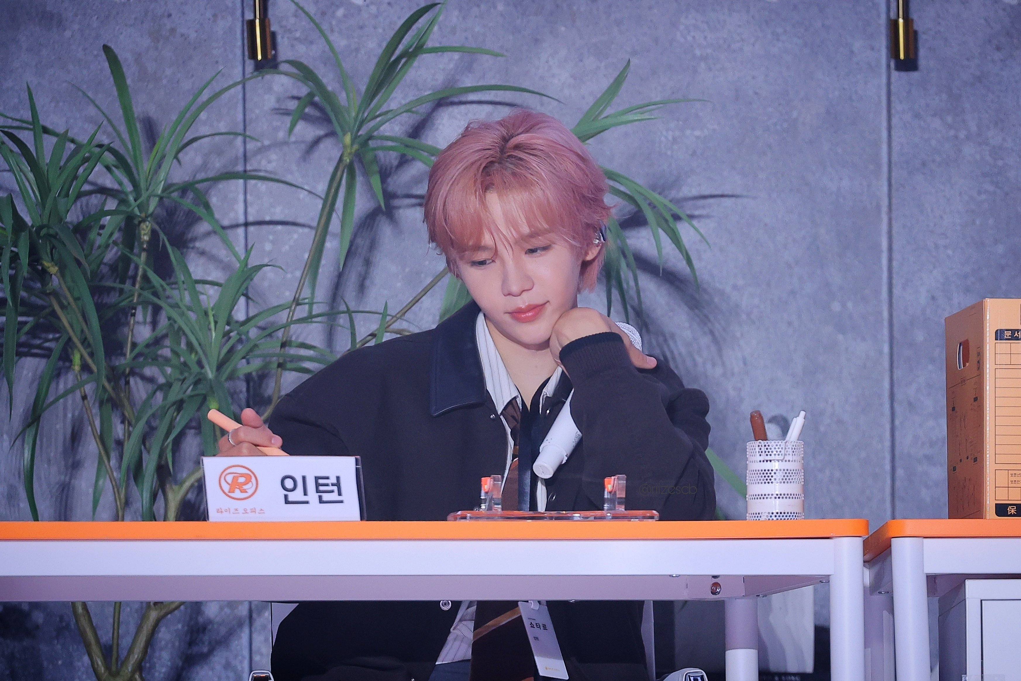 260530   ©riizescb 