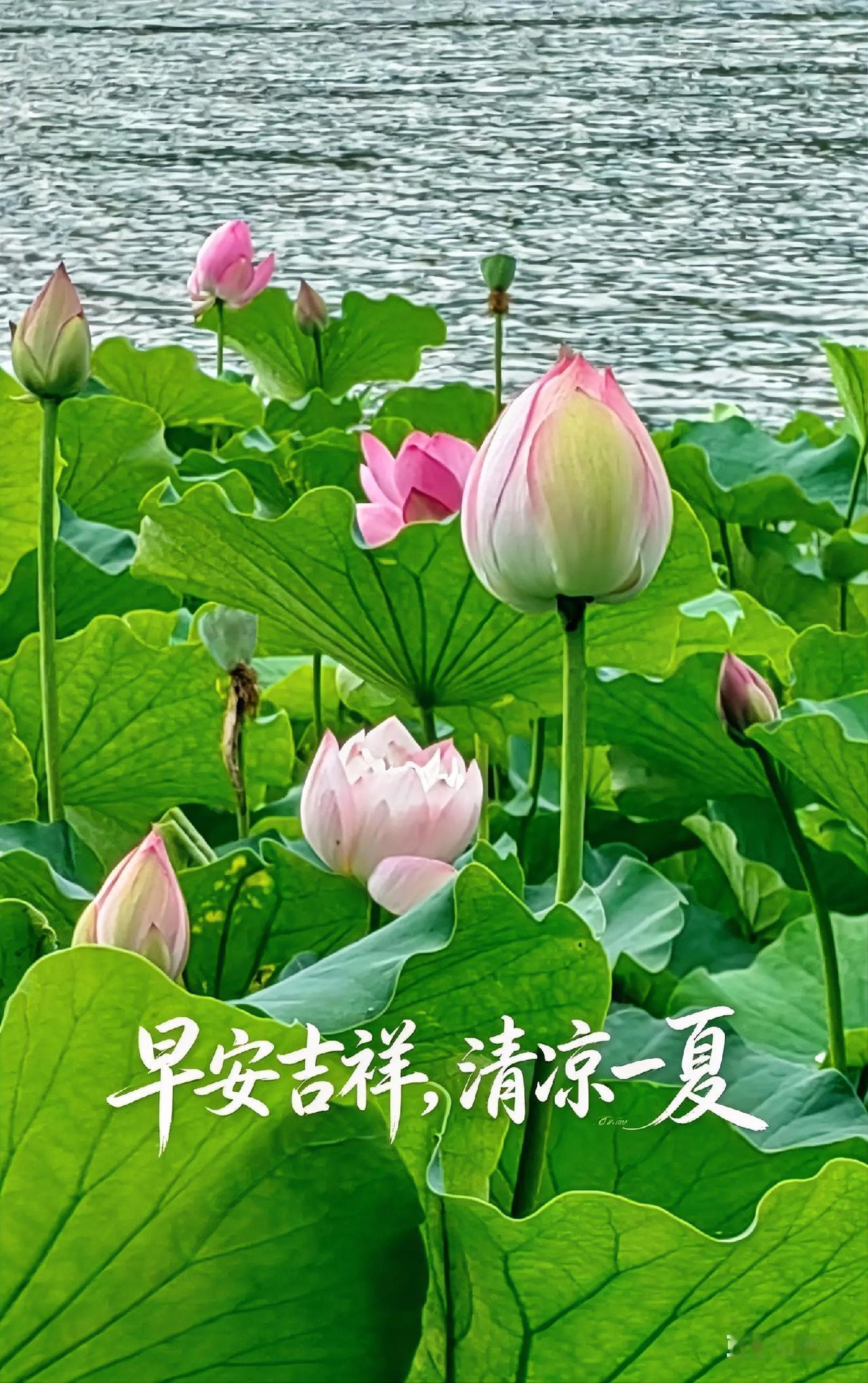 当第一束光刺破天际，它不仅照亮了山川湖海，也唤醒了沉睡在心底的勇气与热爱。

早