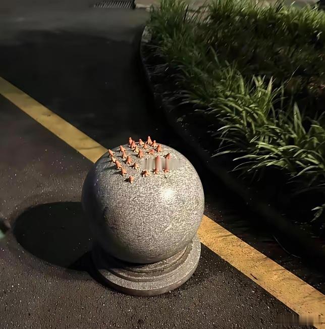 这人是有多闲啊。