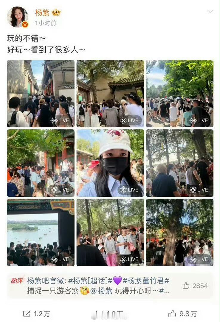 明星公开发图是否该给路人打码不太清楚两万票房的杨紫粉丝因为杨紫因拍摄主体为路人不