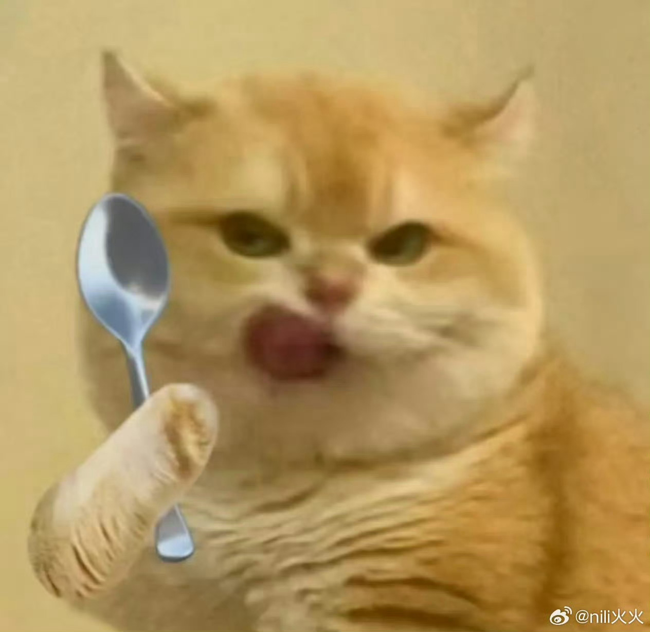 干饭时间！宝子们晚上吃的什么？我：吃炖排骨，排骨的肉为啥更好吃哩 