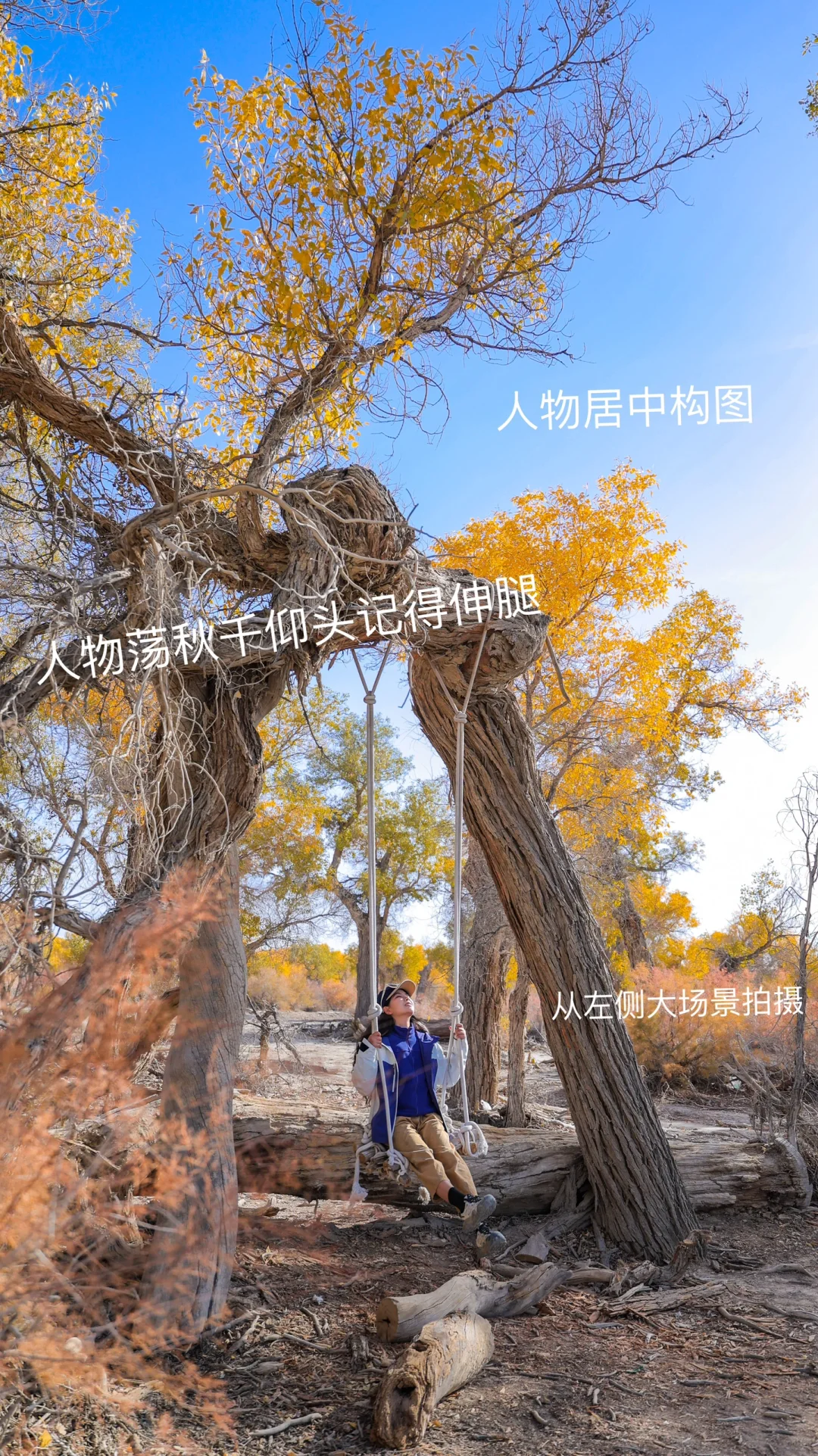 轮台胡杨林9⃣️大隐藏机位📸附构图拍照姿势