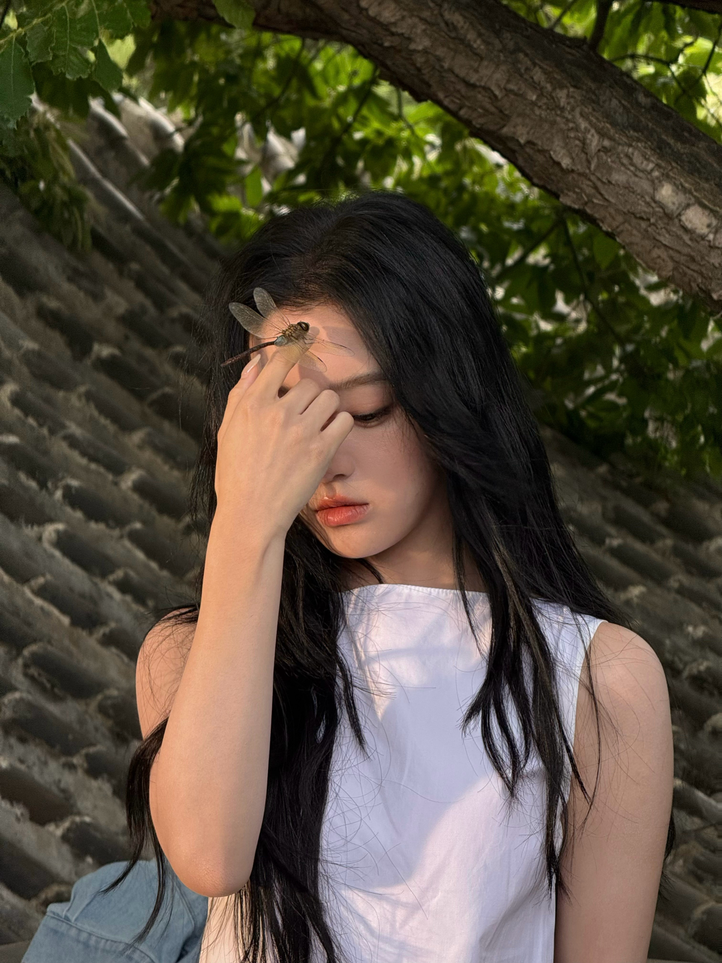 包上恩 