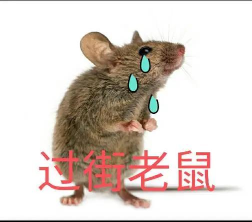 美国，
毫不诚信可言，
多少次耍花招！
[呲牙][呲牙][大笑][笑哭][比心]