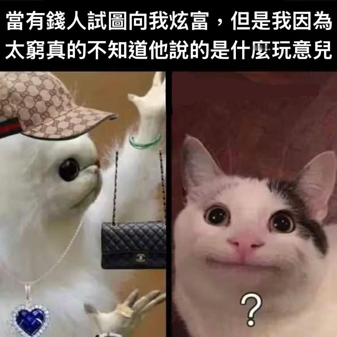 我看不懂哇 