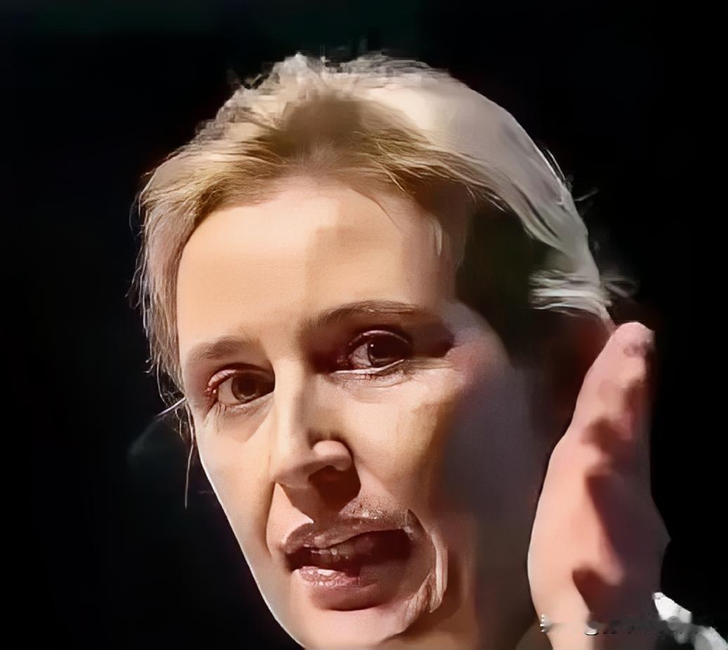 德国政坛哪位女强人今天发火了！爱丽丝·魏德尔——那位以敢说敢言著称的德国选择党女