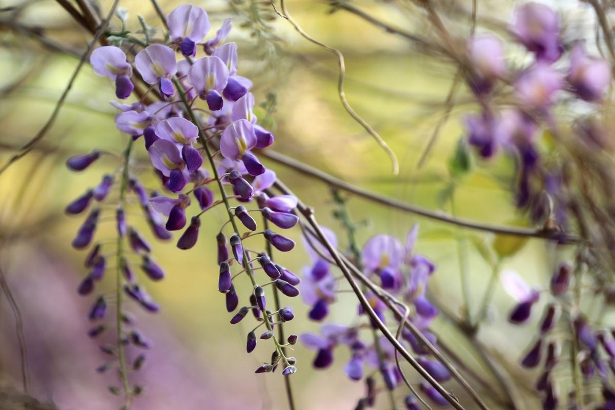 有些人来到你身旁，是告诉你什么是真心；有些人，是告诉你什么是假意；如同有些人来到