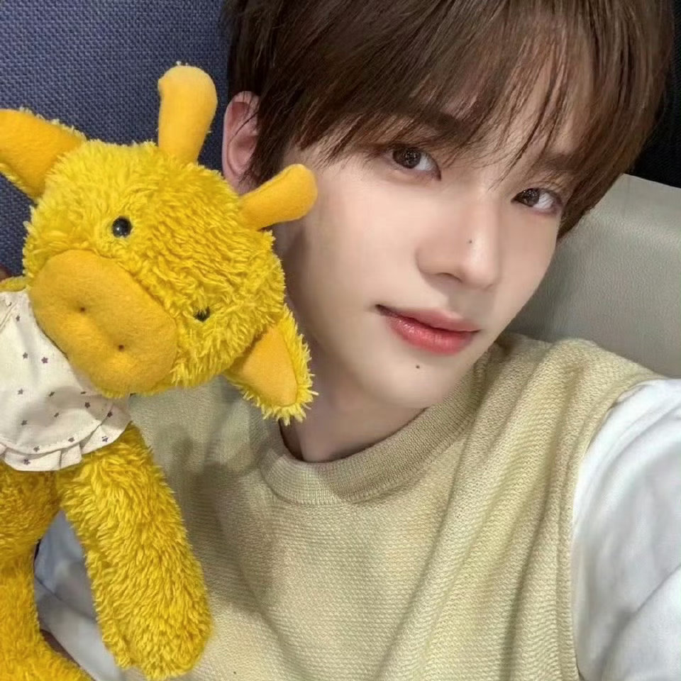 申惟头像分享｜kpop男爱豆｜氛围感男头｜tws｜shinyu 