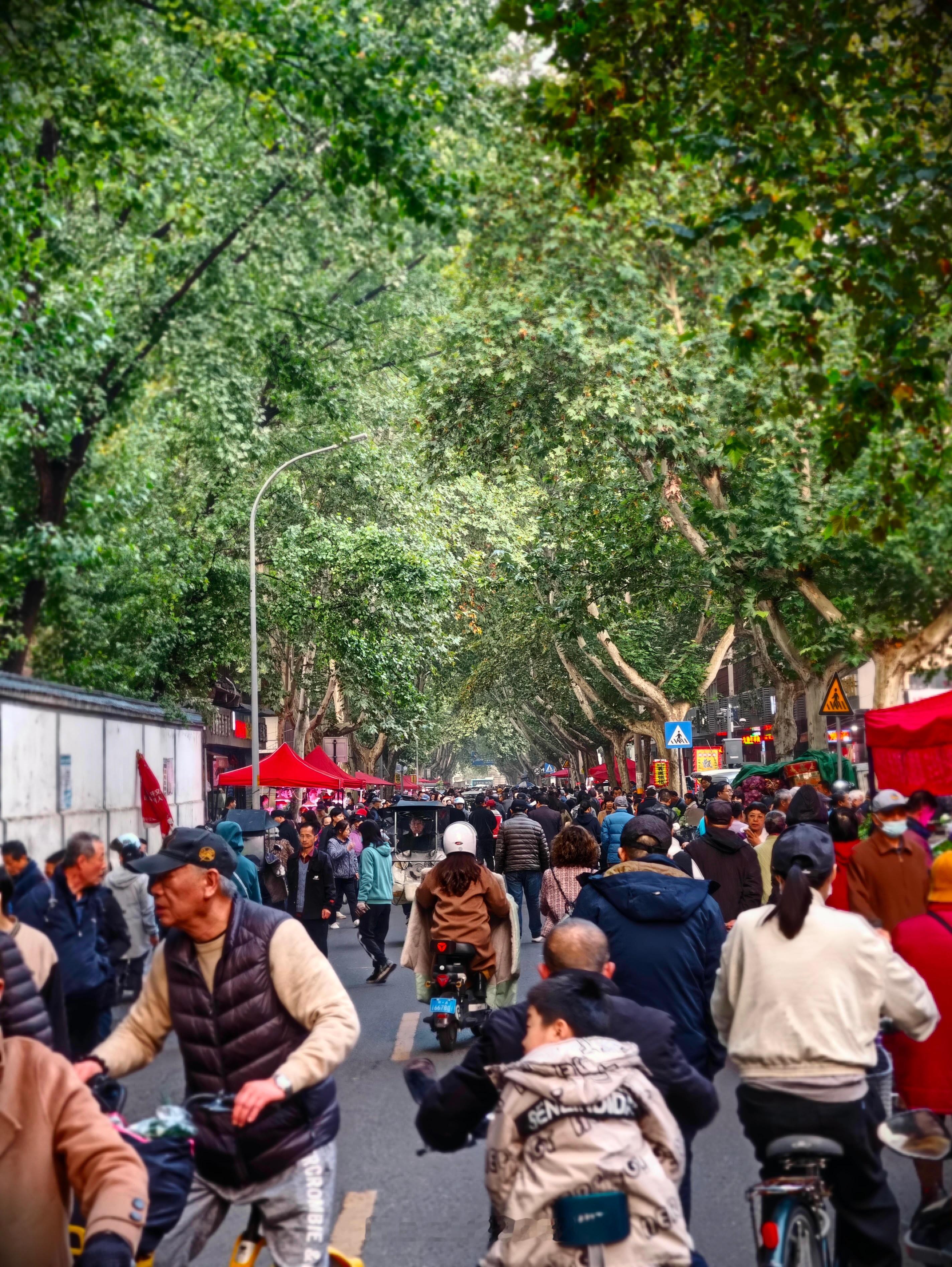 去西安的早市转了一圈，感觉比大唐不夜城好玩[允悲]。花十块钱买了一大盒火晶柿子，