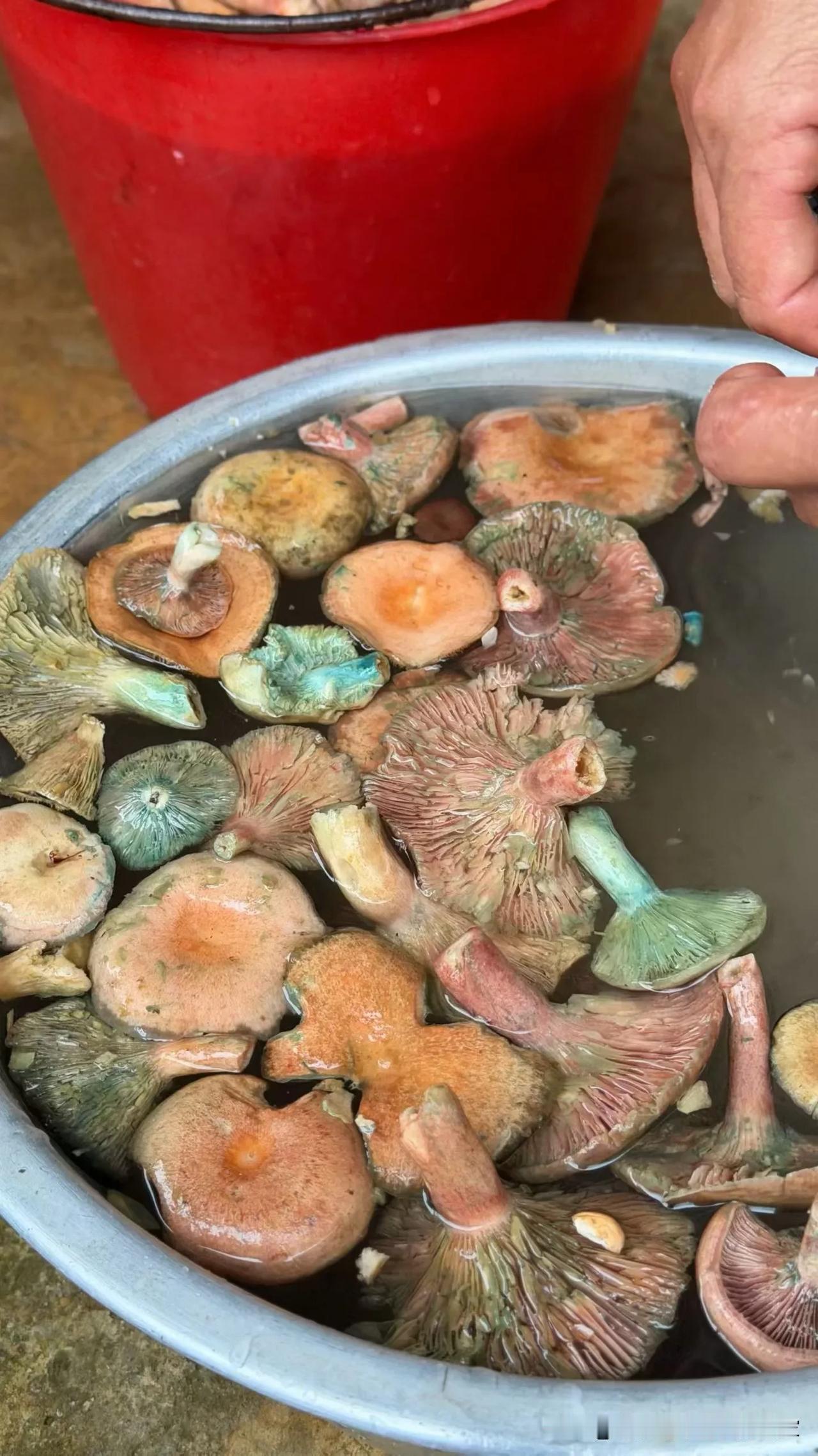 用镜头记录生活的美