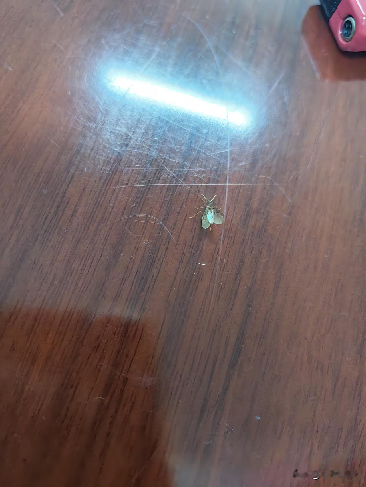 突然发现很多人明明觉得自己很有理，证据也很充足，但在争取自己利益时，从不去法院起