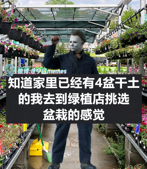 阎王点卯（9gag）今日meme 今日memes
