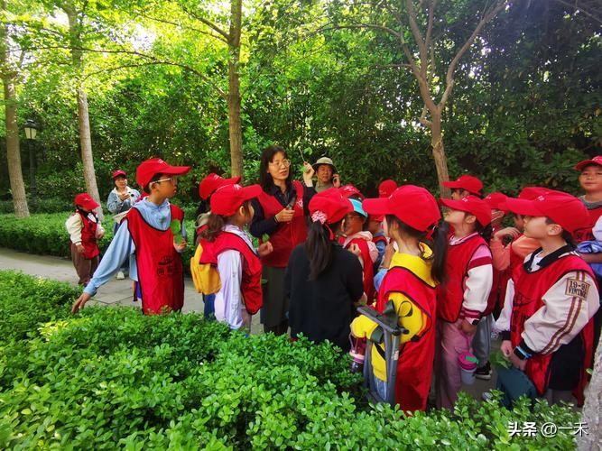 别再只盯着分数！孩子社会实践这么做才对，家长速看
 
很多家长都问：“孩子真的需