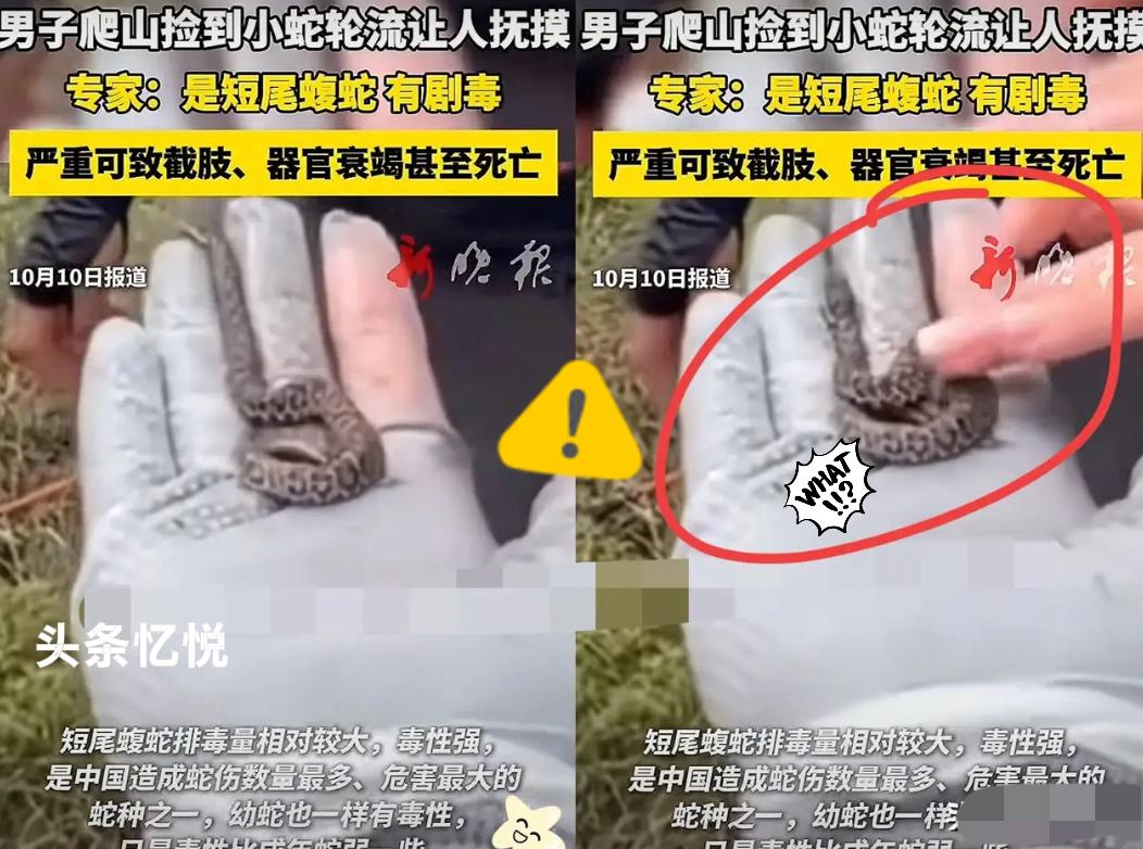 不作不会死！男子去山上徒步登山，偶然发现路边有一条蠕动的物体，起初他以为是蚯蚓，