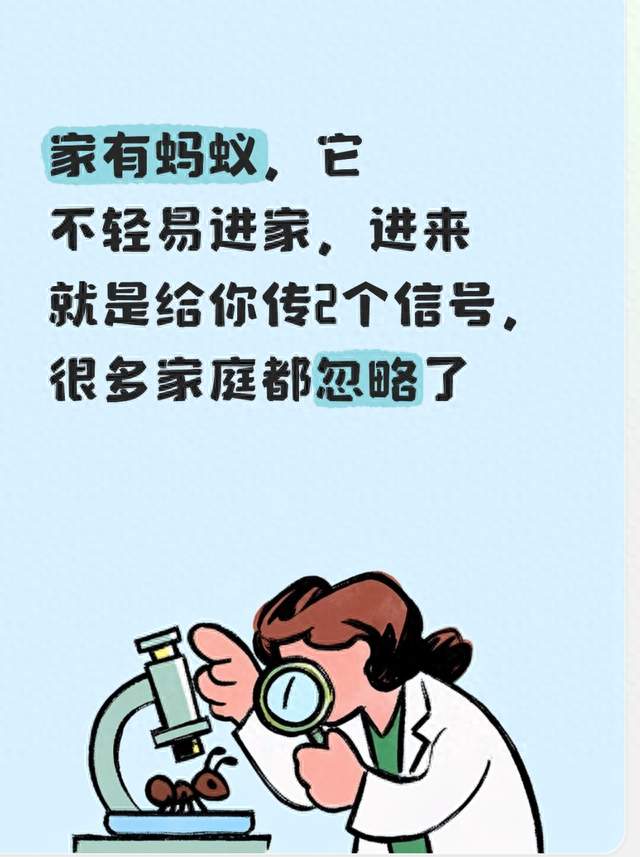 家有蚂蚁，它不轻易进家进来就是给你传2个信号很多家庭都忽略了