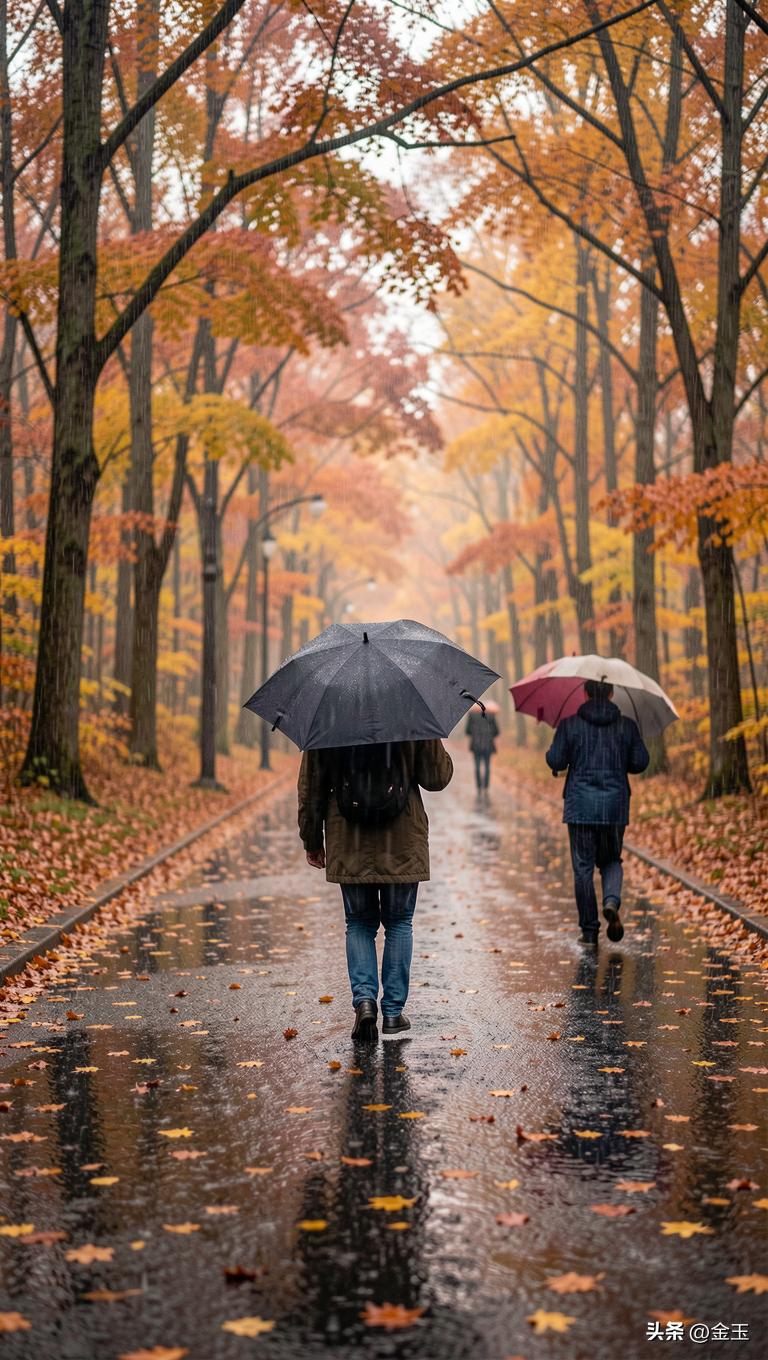 秋雨 秋雨不像春雨那般羞怯，也不像夏雨那般暴烈。它来得从容，走得也从容。先是几滴