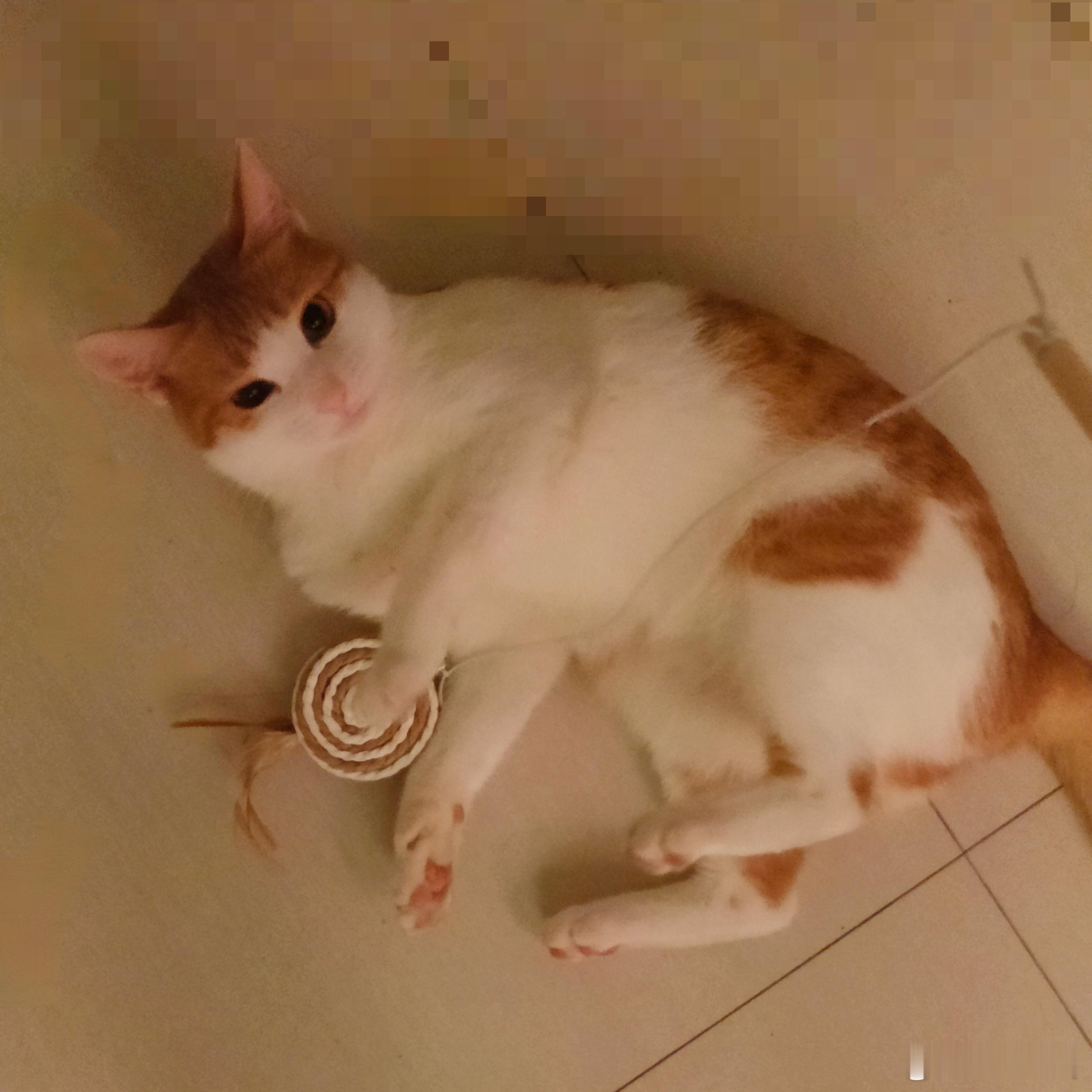 多陪你玩玩 ​​​