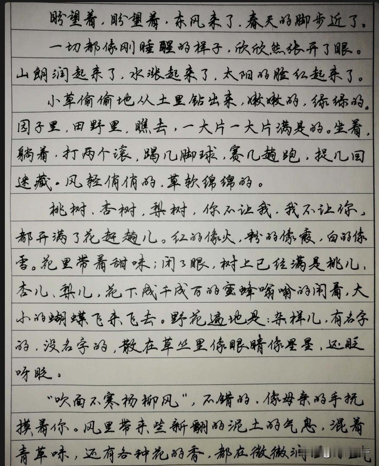 网友书写，虽然不是著名书法家书写，但这硬笔行楷功力还是很强的，并不逊于那些硬笔书