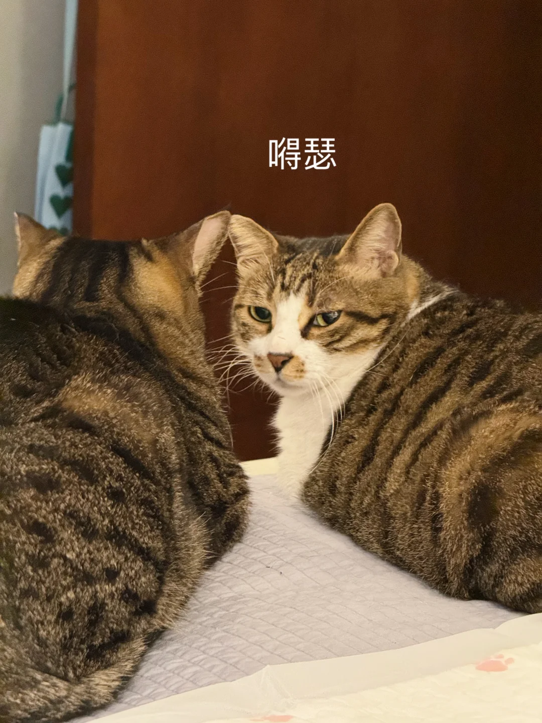 一开始浓情蜜意，后来说翻脸就翻脸！