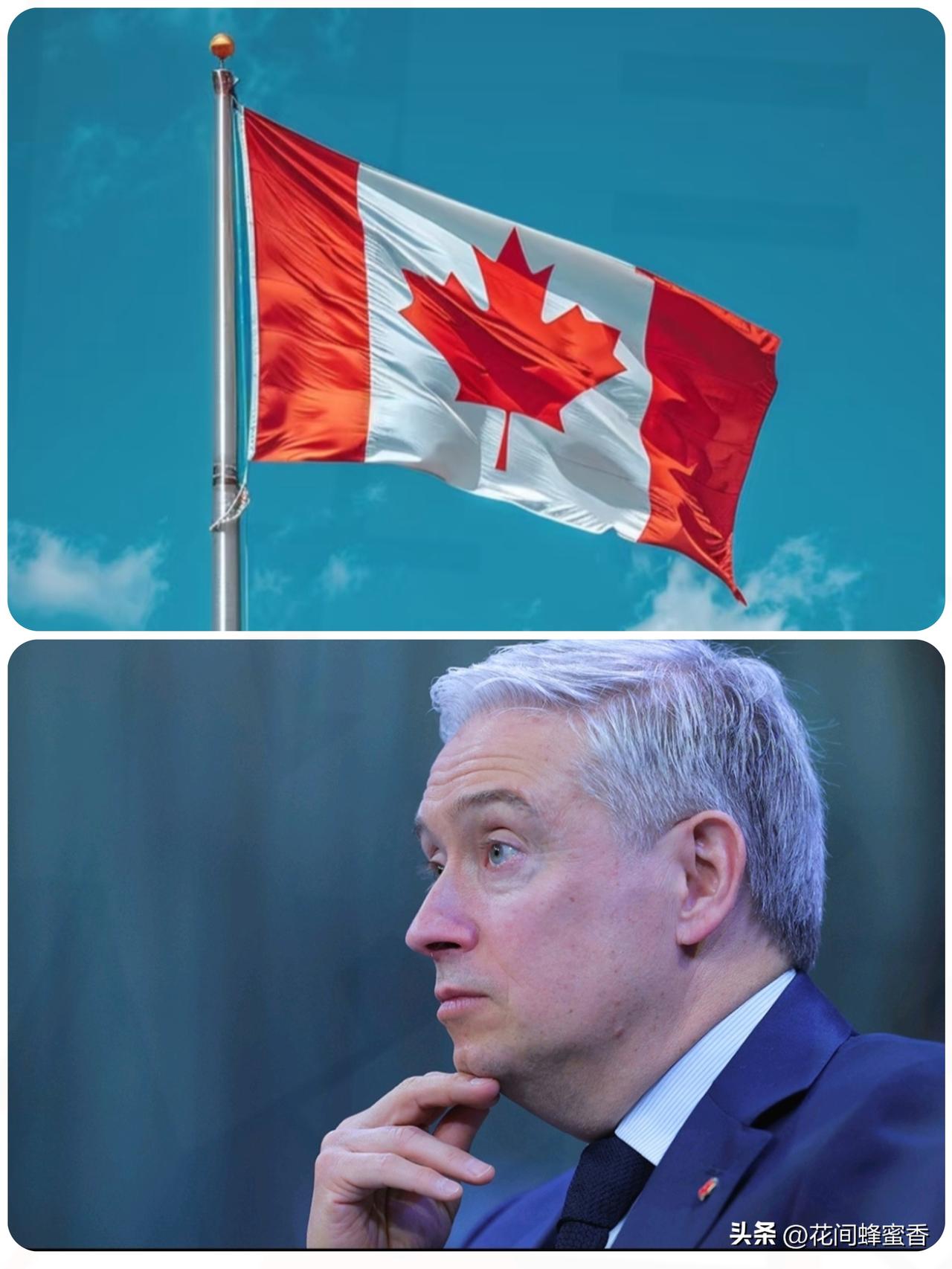 风向突变！
加拿大财长紧急访华，
3个月两次高层对接释放关键信号
 
国际社会评