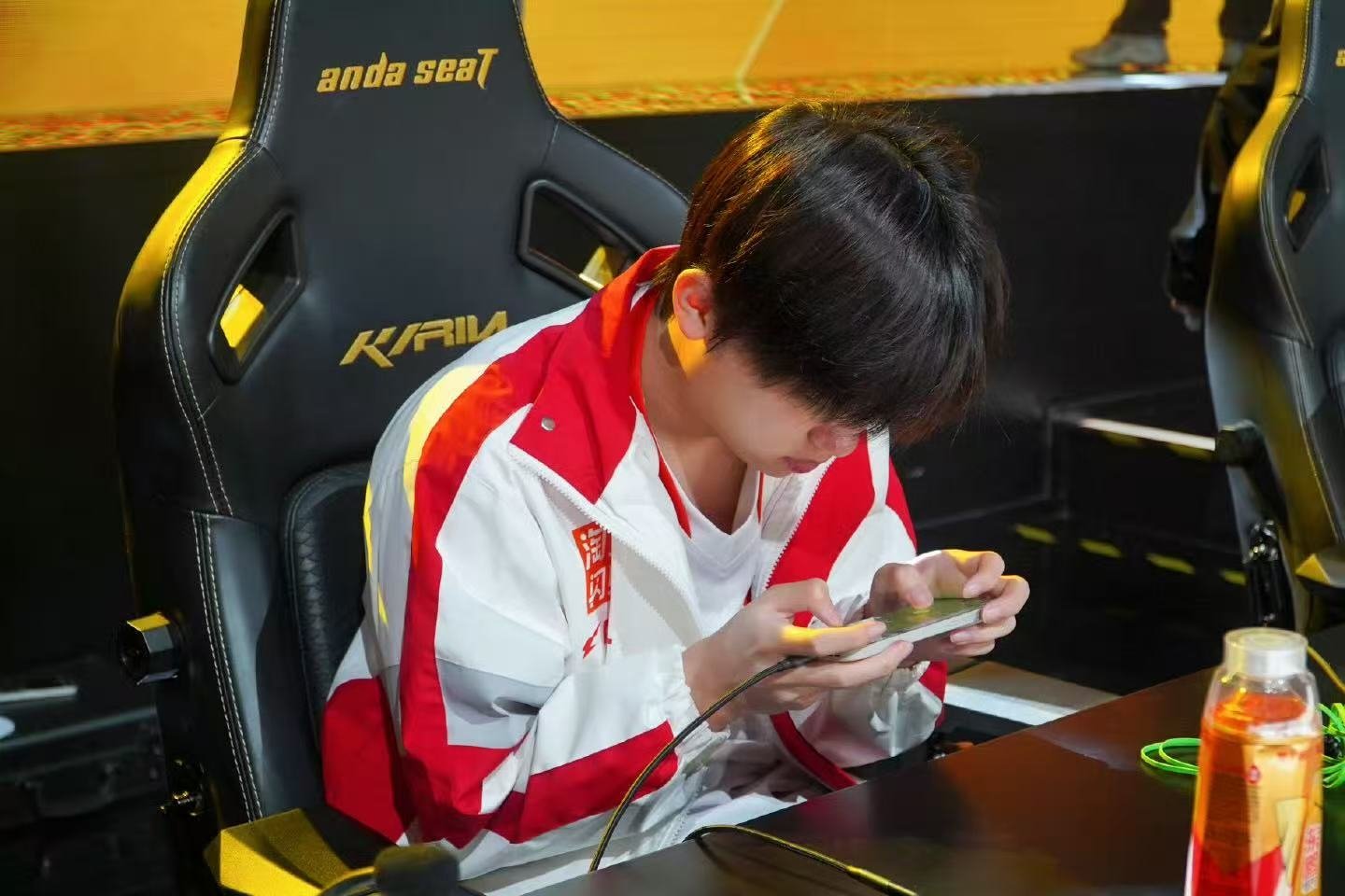 仙崽单局MVP 仙崽单局MVP，实力尽显 