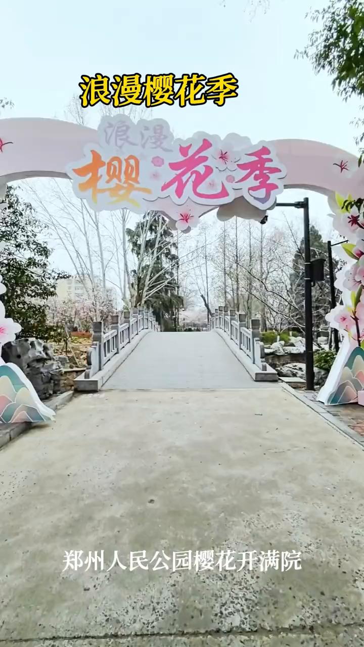 浪漫樱花季。
郑州人民公园樱花开满院。