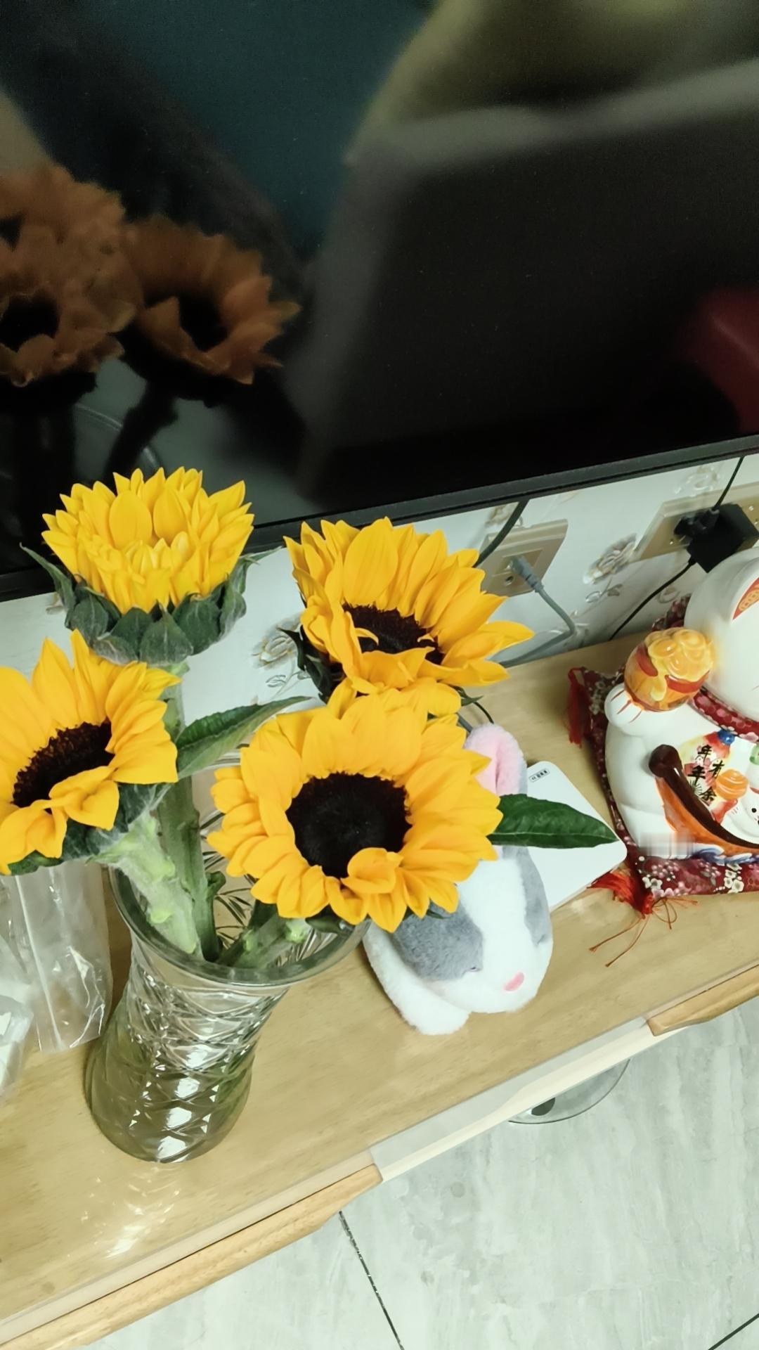 春日生活打卡季