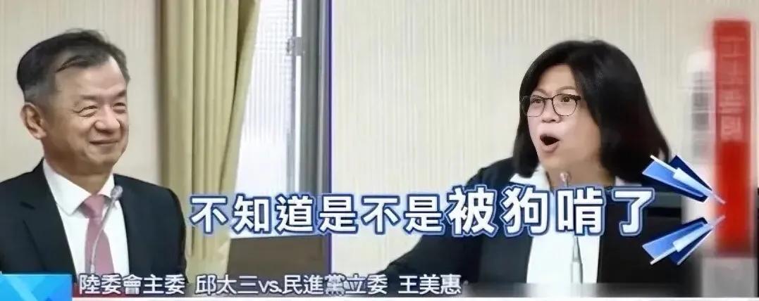 綠营王美惠与邱太三两人拿花莲地震上演双簧攻击马英九访陆，王说，花莲地震马还有心情