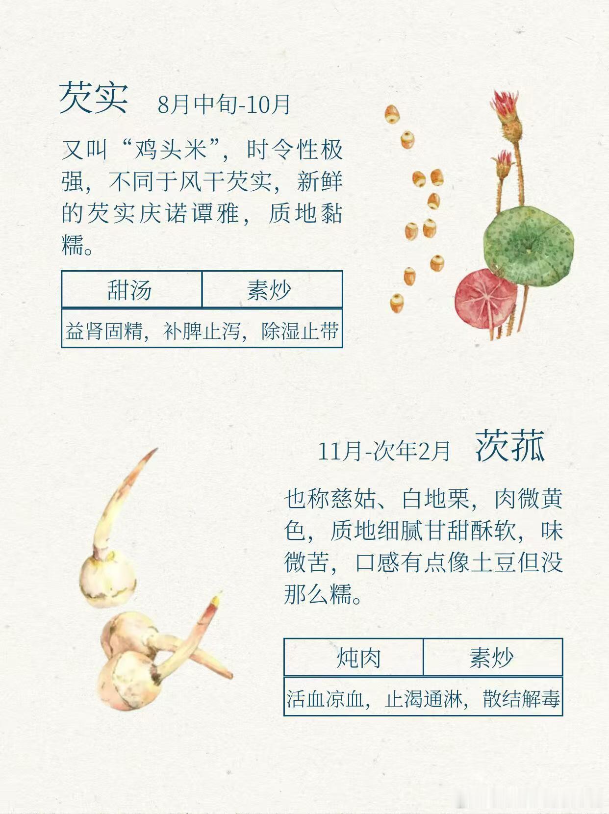茭白被古人比作美玉 陆游在诗里把茭白比作美玉，想想稻饭配着甜滑的茭白，那画面感直