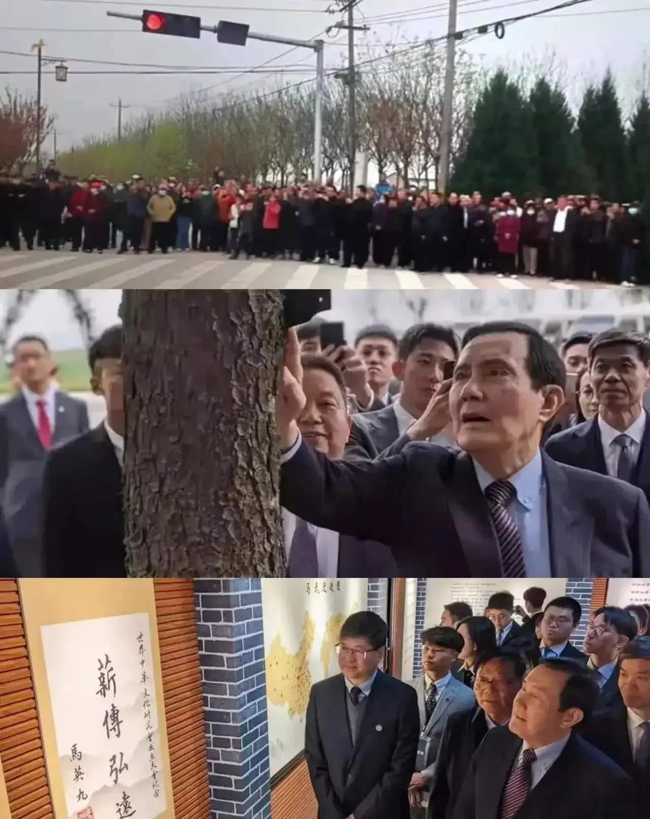 台湾那地方，“庙小妖风大，池浅王八多。

国民党，是百年烂党。是内斗不断，外斗外