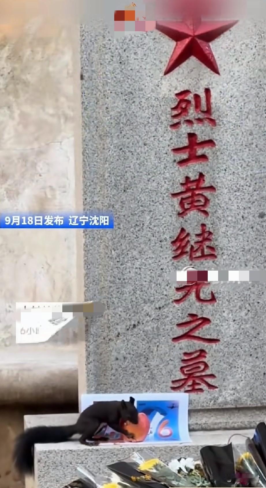 这盛世，如您所愿！
9月18号是九一八事变纪念日，正好在这一天，沈阳的网友在烈士