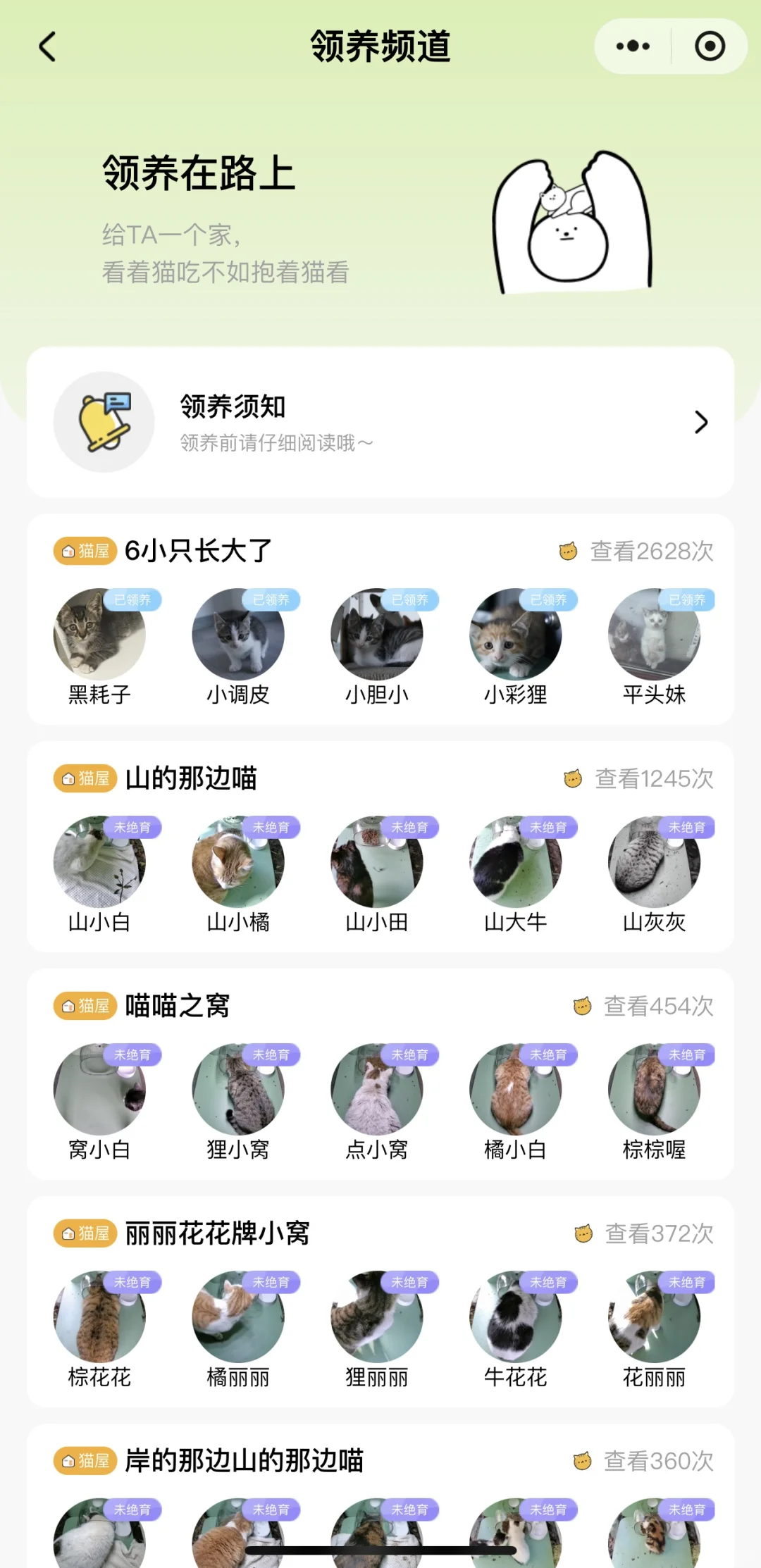 你再生气，我去撸其他小猫喽🐱