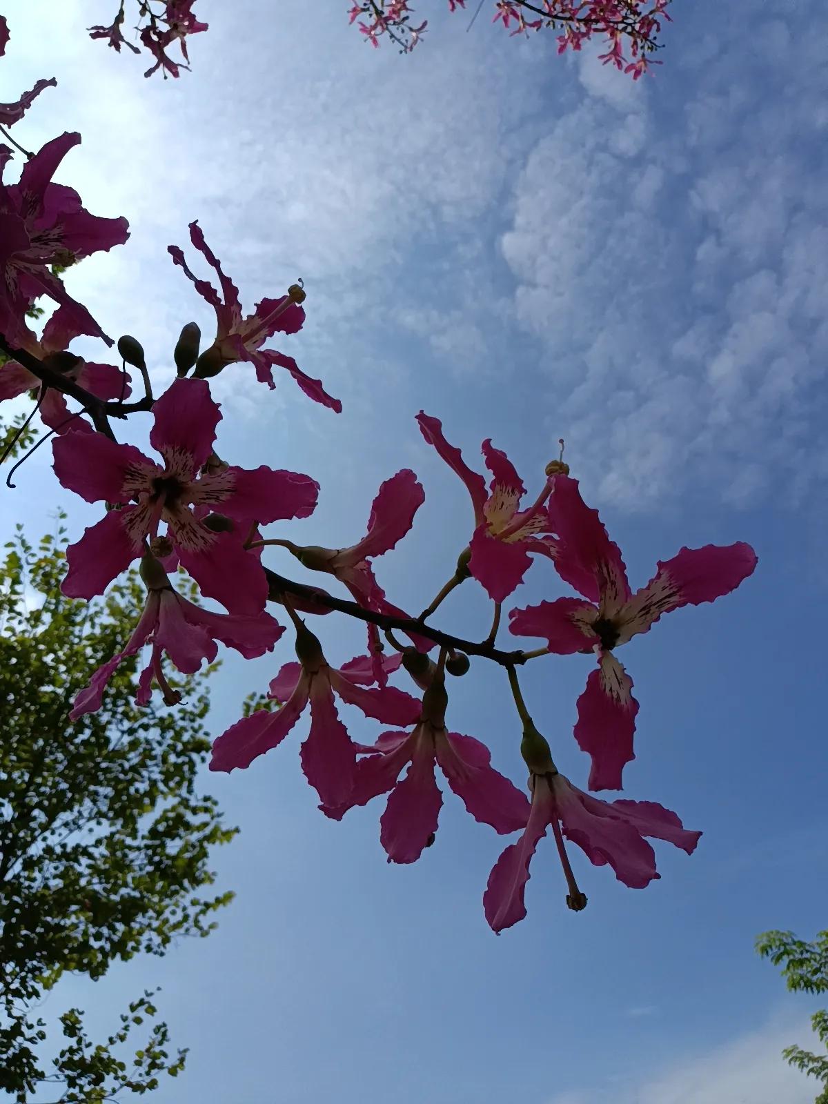年轻人正在走出惯性与传统，年轻人不再追求标准答案了，无非就是这3种

1，职业上