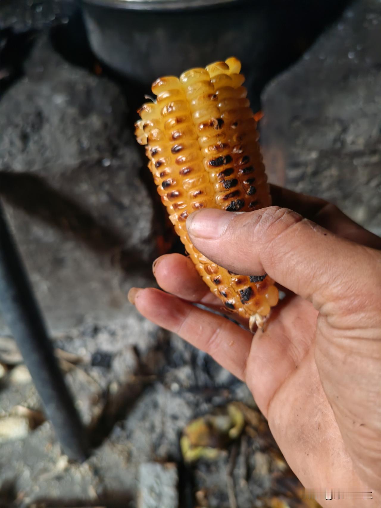 炭火烤玉米，香甜软糯，一口咬下，满口生香！