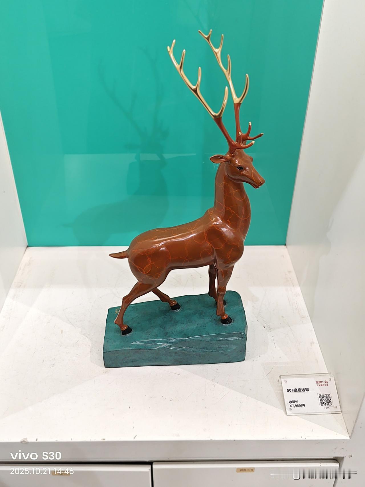 冬日生活打卡季