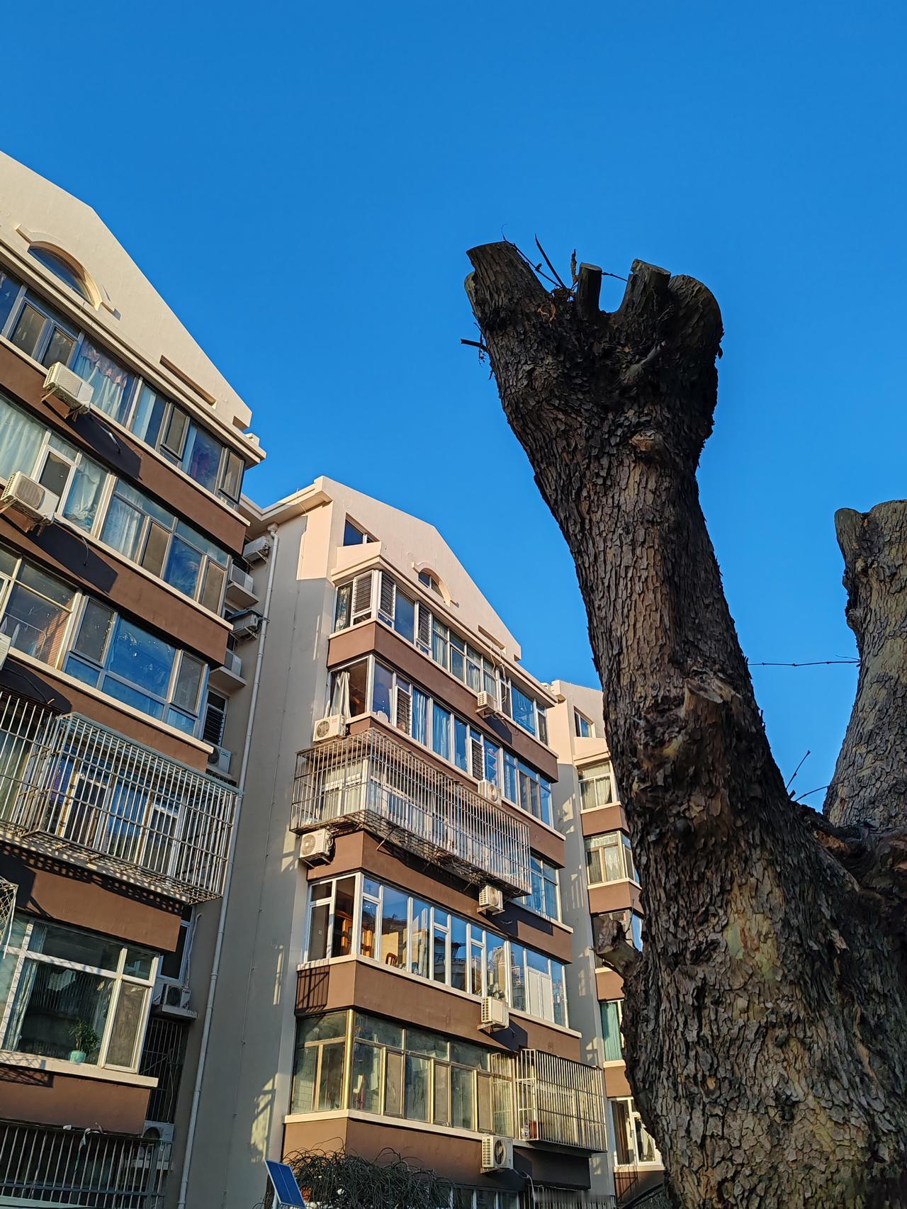 分享一下你随手拍下的照片老旧楼房改造后的姿色。