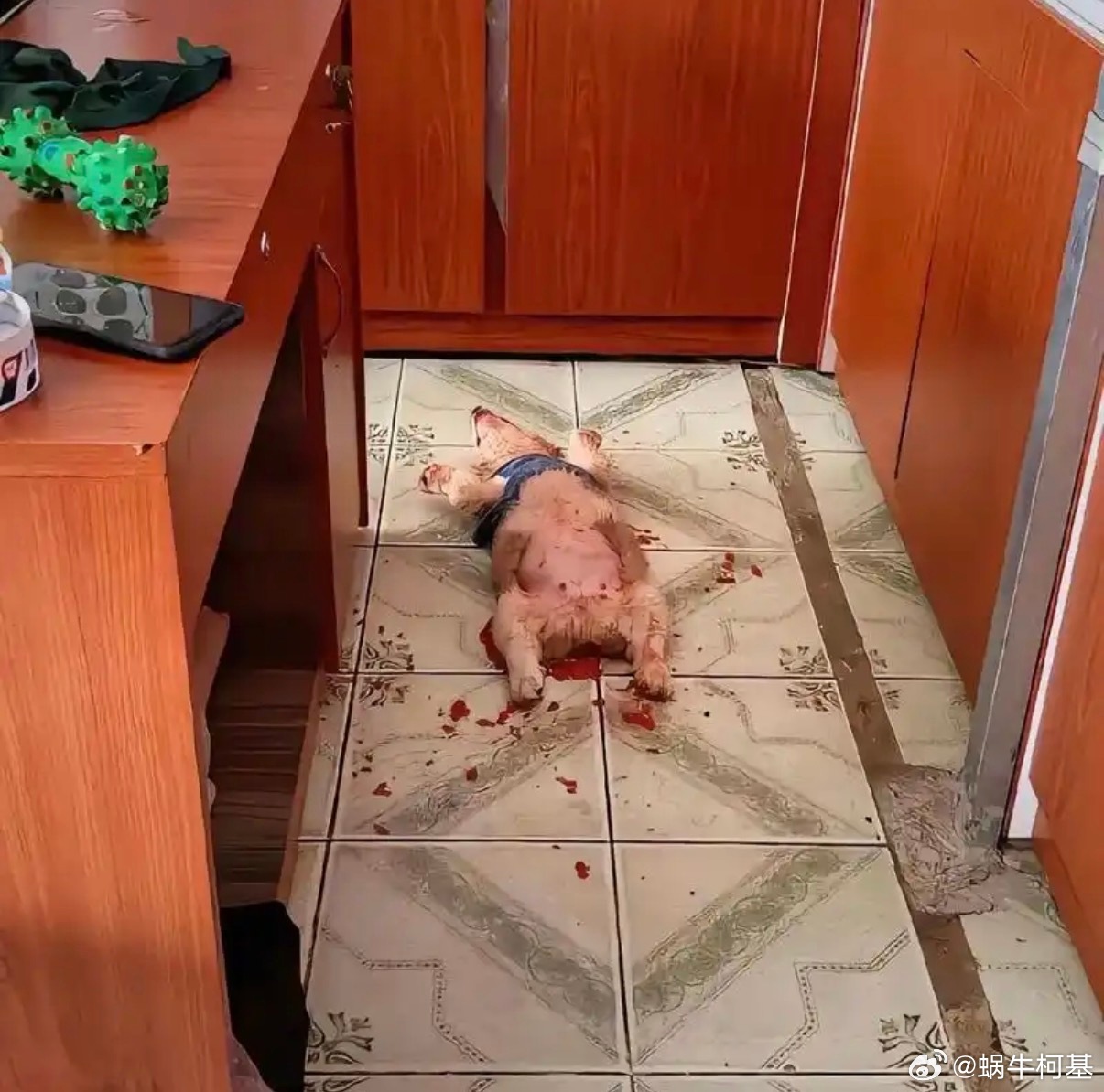 第一场就喝多了，今晚停更 