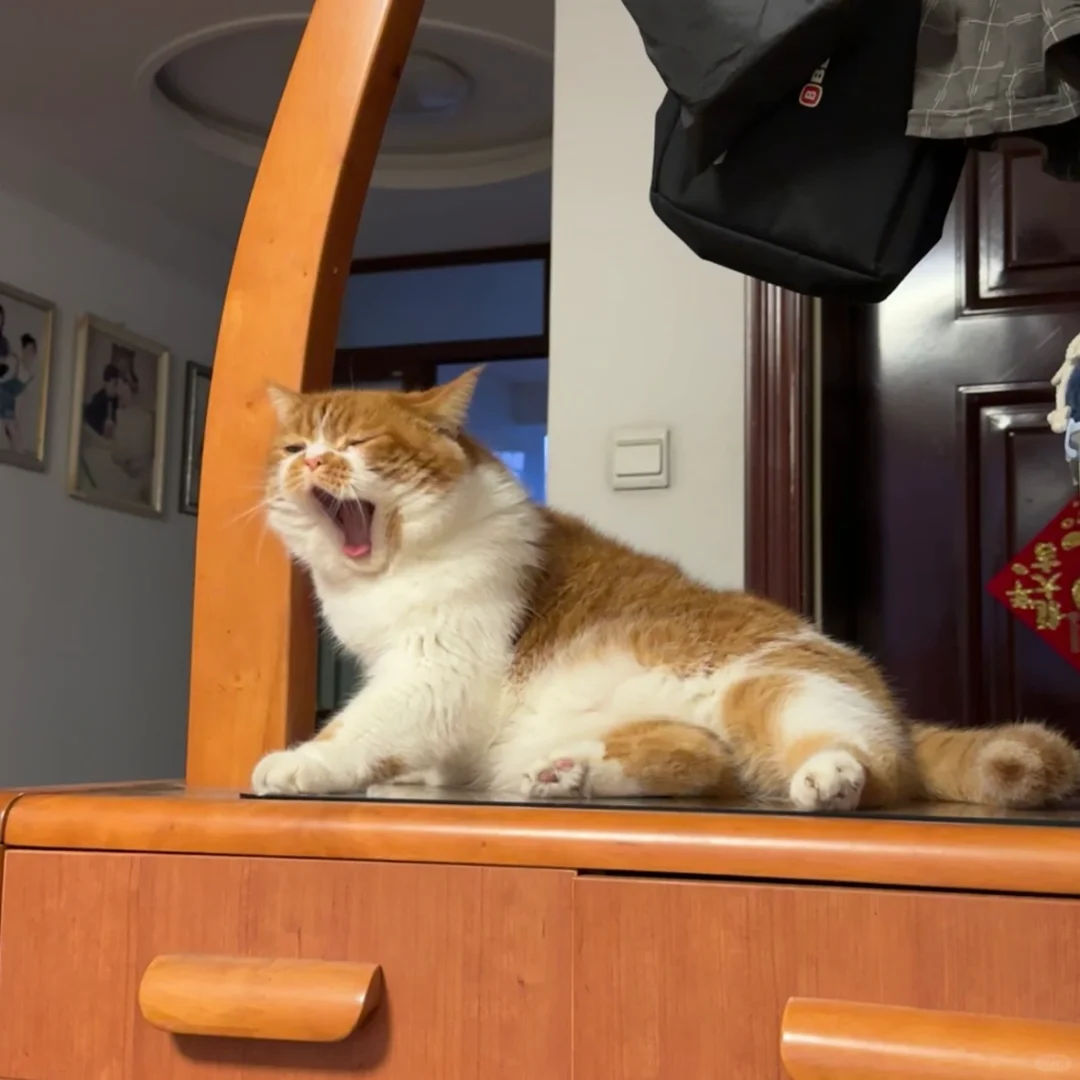 啊