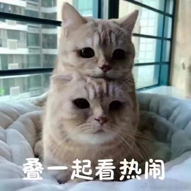 #AI李白为高考学子赠诗#这样的祝福很用心，AI的发展带来了不同，我们高考学子也