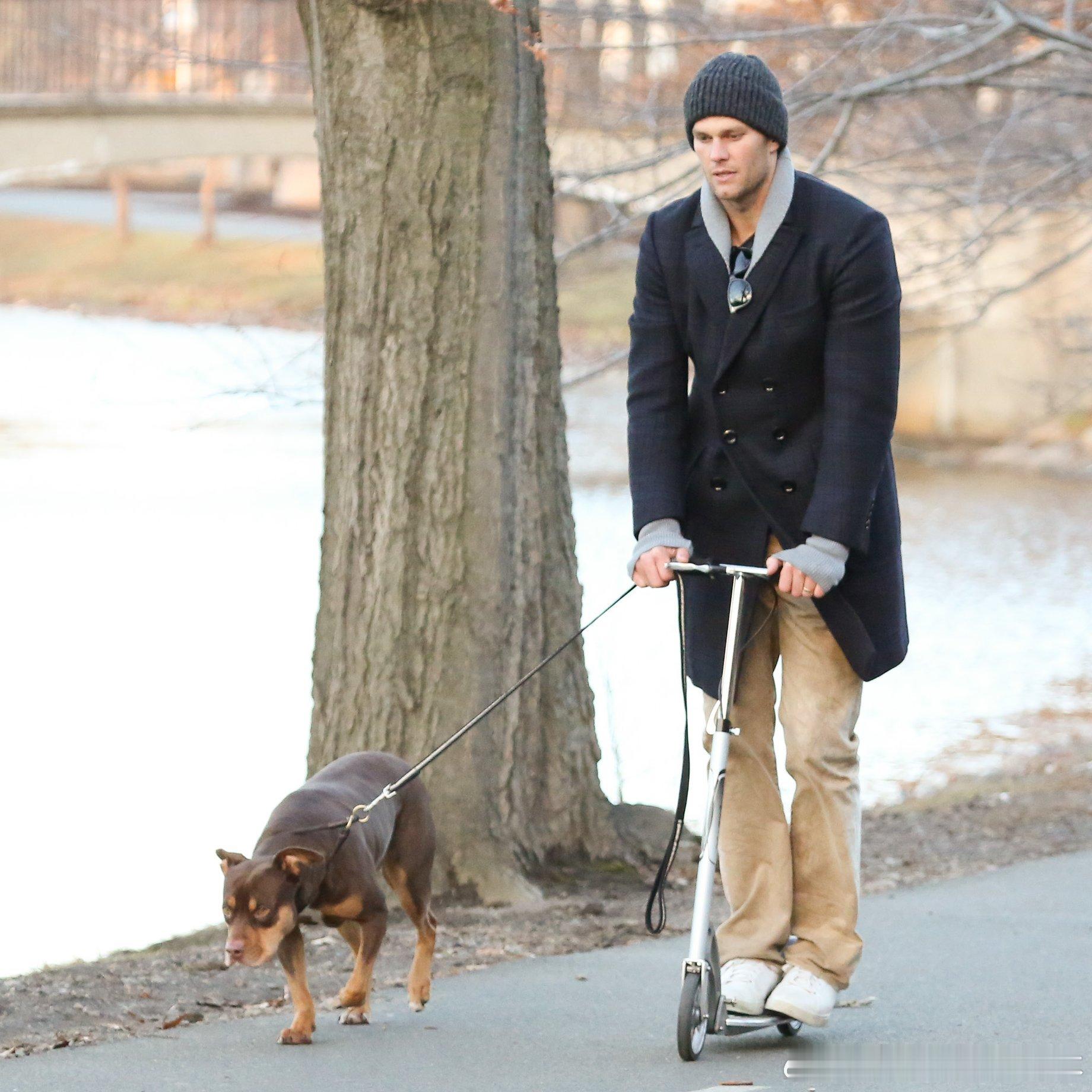 【黄金时代】橄榄球巨星布雷迪透露，他现在养的狗Junie是他已故爱犬Lua的克隆