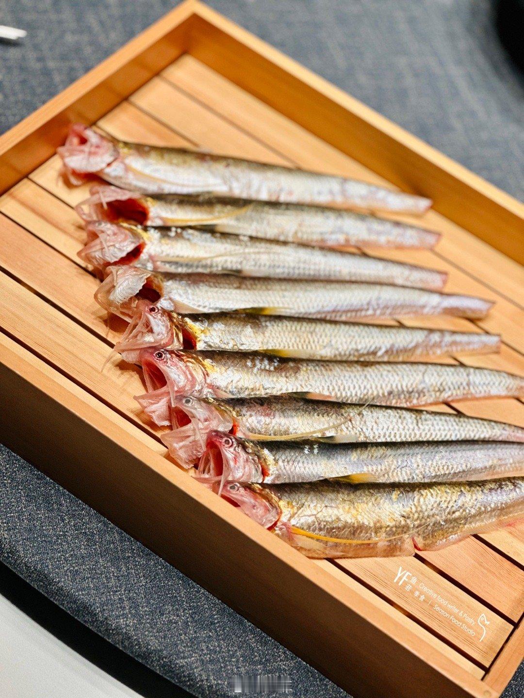 三月春“刀”宴，上桌“四把刀”。“刀鱼王”永亮兄，能让一桌饕客瞬间熄声。每个人都