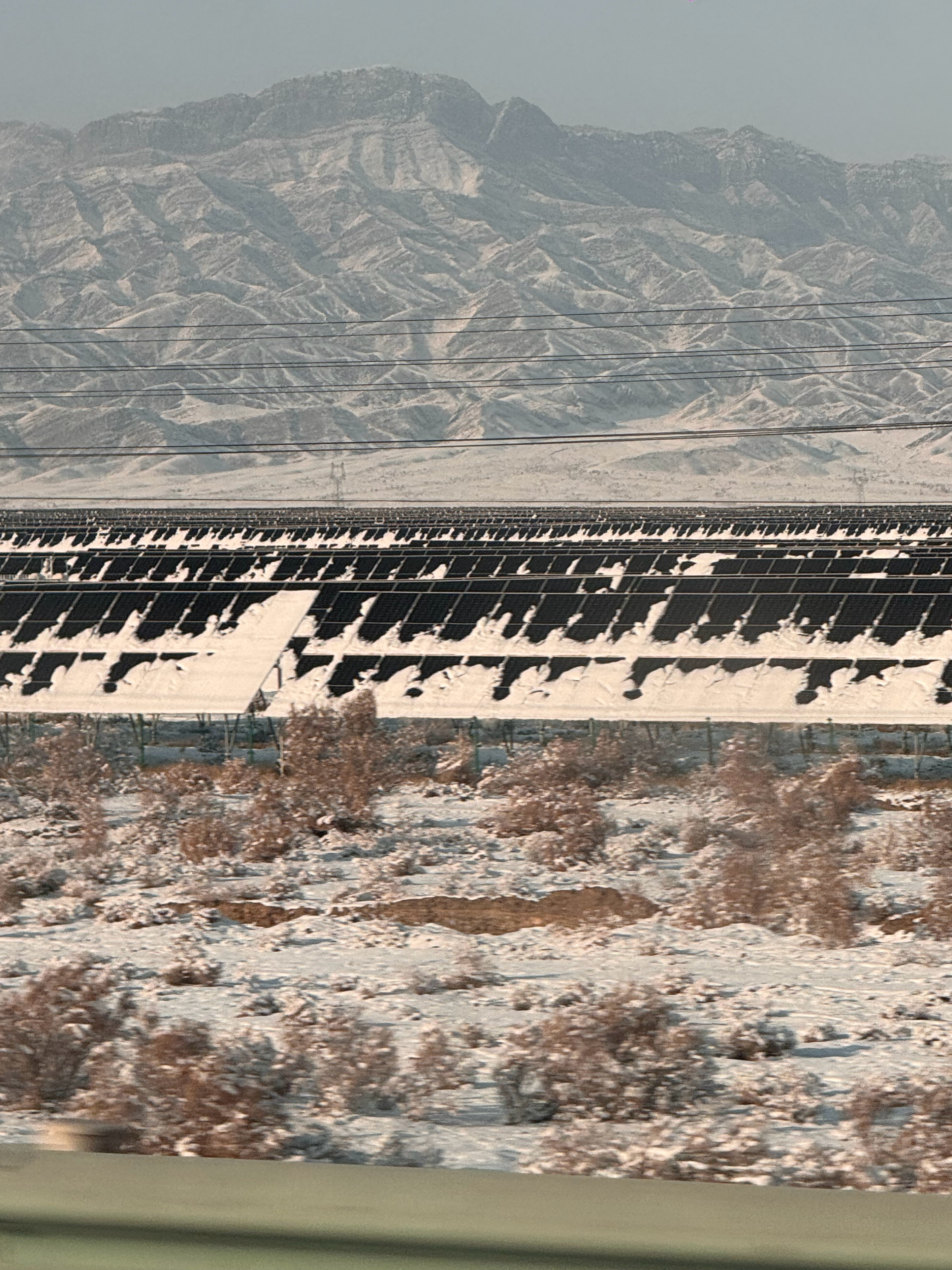 看到好多太阳发电板！感觉一下子就到了骄阳似我剧情里 